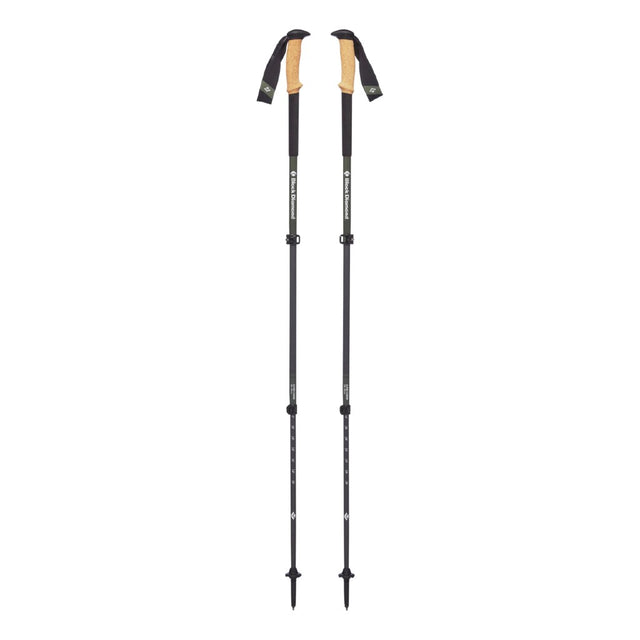 Black Diamond Alpine Carbon Cork Trekking Poles