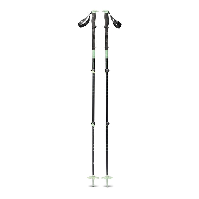 Black Diamond Expedition 3 ski poles