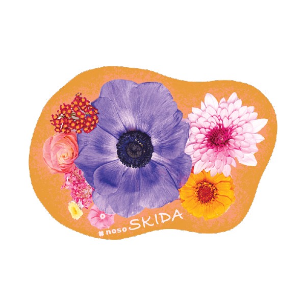noso colorful prim and poppy flowers repair patch