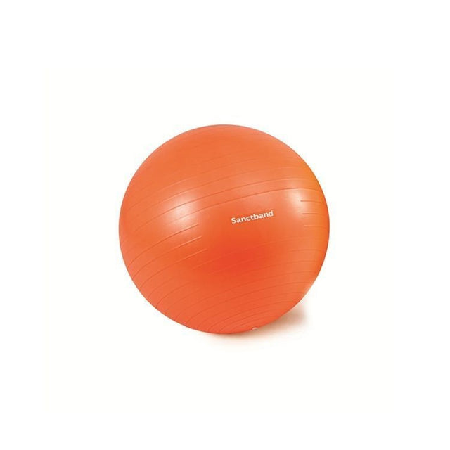 Sanctband Exercise Balls