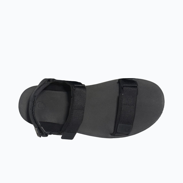 Top view of men's black Xero Shoes D-Trail minimalist sandal