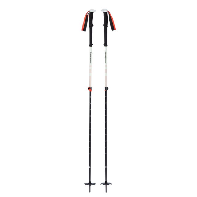 Black Diamond Expedition 2 Ski Poles