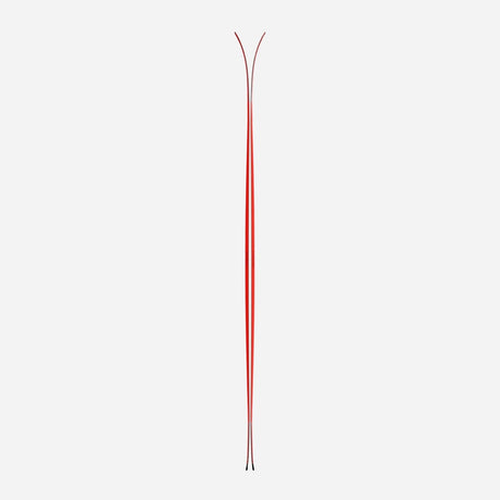 Side view of a pair of red Black Crows Camox Freebird skis