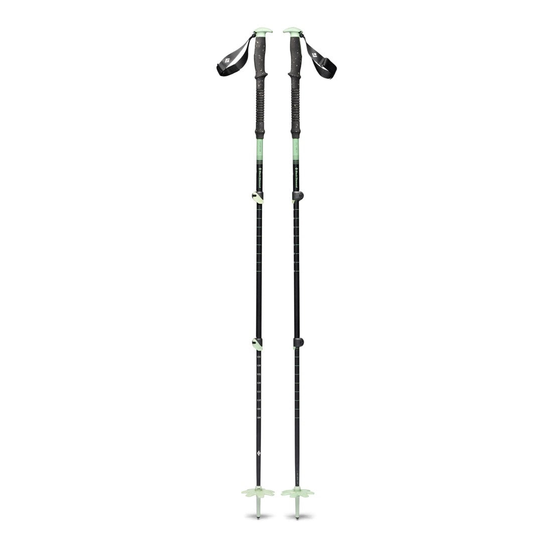 Black Diamond Expedition 3 ski poles