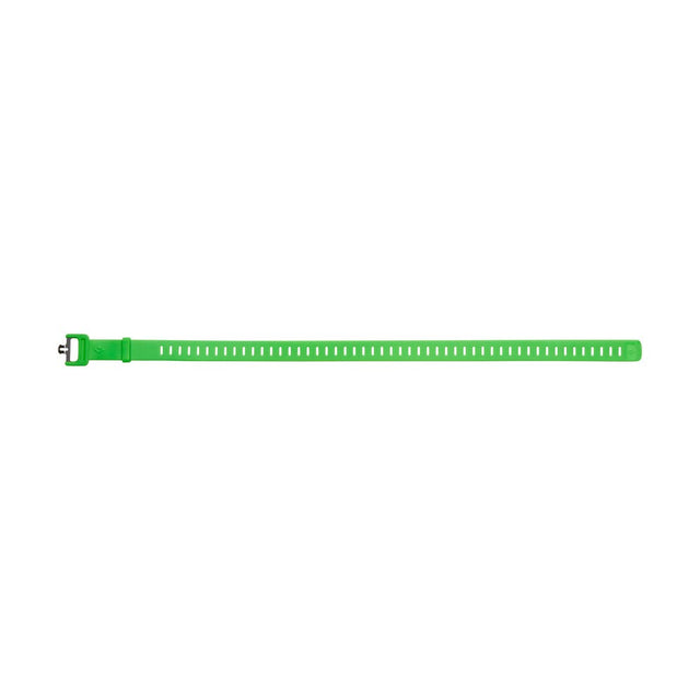 Black Diamond green ski strap