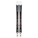 Top view of Dynafit Tigar 97 skis