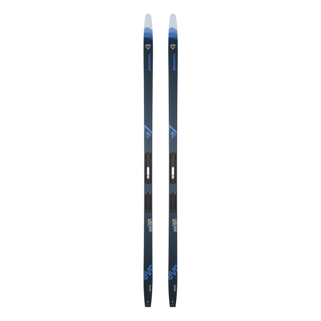 Top view of pair of Rossignol EVO XC 60 R-Sking nordic skis