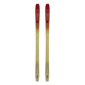 Top view of pair of Rossignol XP 105 backcountry nordic skis