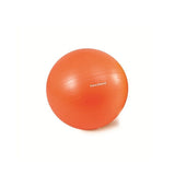 Sanctband Exercise Balls