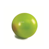 Sanctband Exercise Balls