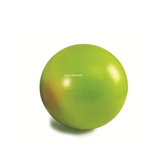 Sanctband Exercise Balls