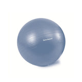 Sanctband Exercise Balls