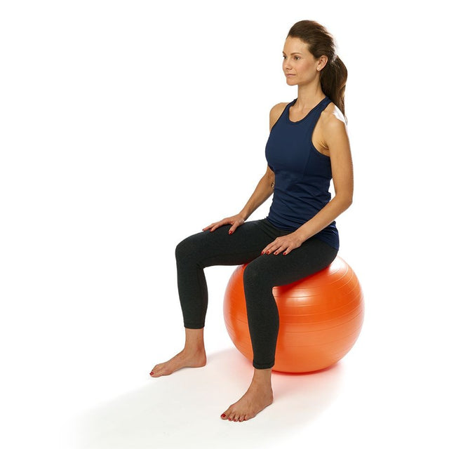 Sanctband Exercise Balls