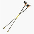 Pair of Silva Carbon running poles