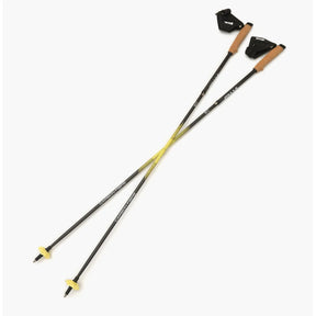 Pair of Silva carbon running poles