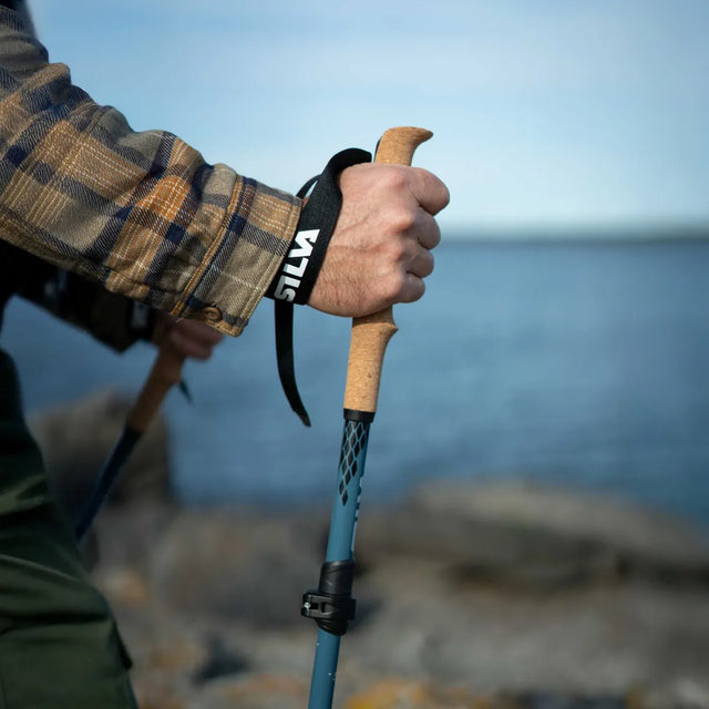 Hand holding a hiking pole with a blurred natural background