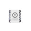 5-pack view of Teleties tiny hair ties in 'Midnight Rain' colours